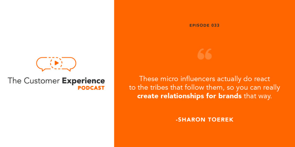 brand marketing, influencer marketing, microinfluencer, micro influencers, sharon toerek, marketing law